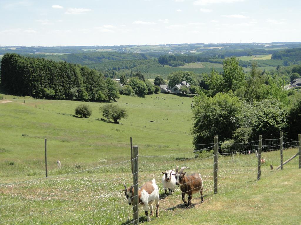 Holiday Home A Pas de Loup La-Roche-en-Ardenne Quarto foto
